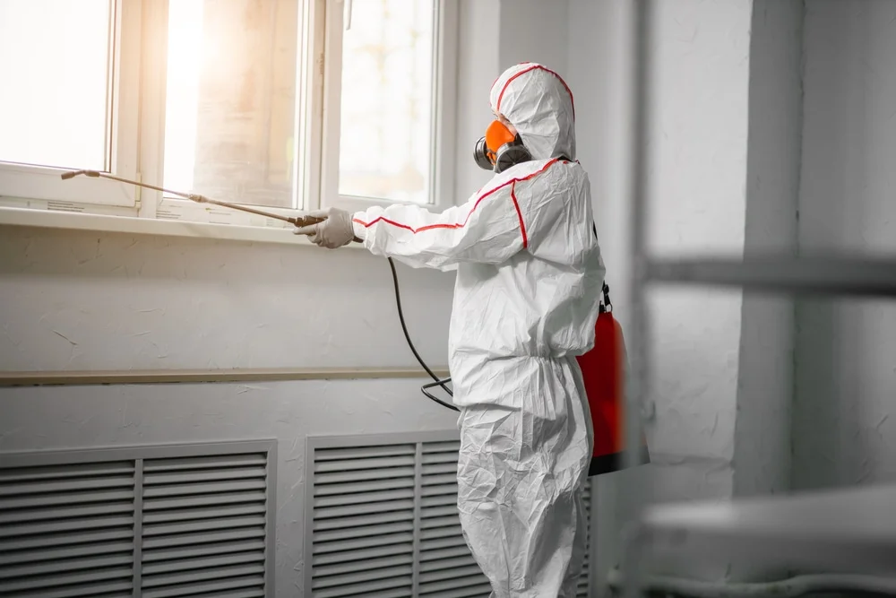 Professional mold remediation services in Bethlehem, NH